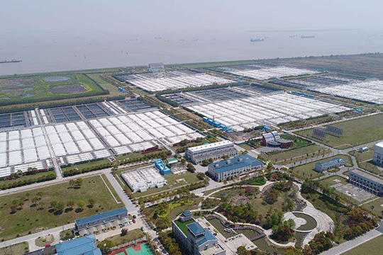 污水可达50万吨,是亚洲最大污水处理厂——白龙港污水处理厂的一部分