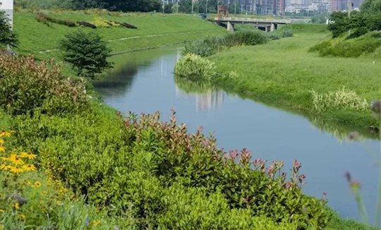 河长制促进巢湖市双桥河华丽"变身"