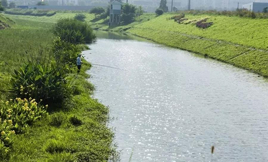 河长制促进巢湖市双桥河华丽"变身"