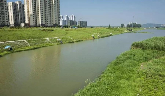 河长制促进巢湖市双桥河华丽"变身"